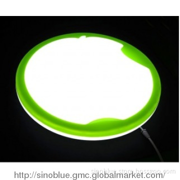 Apple  LED ceiling light